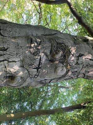 Schlosspark (17).JPG