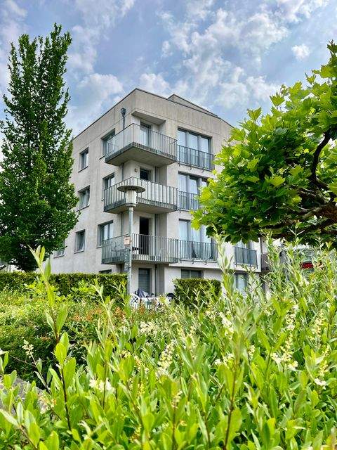 Hamburg Wohnungen, Hamburg Wohnung kaufen