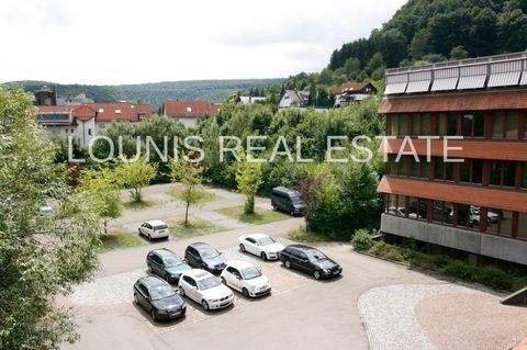 Gruibingen Büros, Büroräume, Büroflächen 