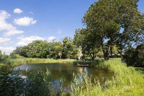 Schwimmteich im Garten