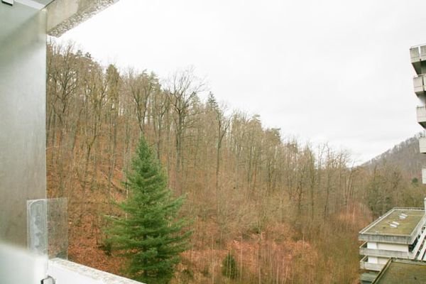 Ausblick