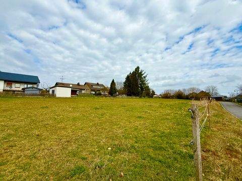 Daleiden Grundstücke, Daleiden Grundstück kaufen