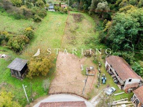 Zapresic Bauernhöfe, Landwirtschaft, Zapresic Forstwirtschaft