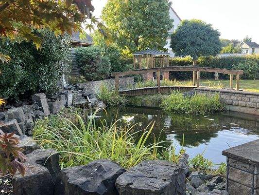 Friedlicher Gartenteich