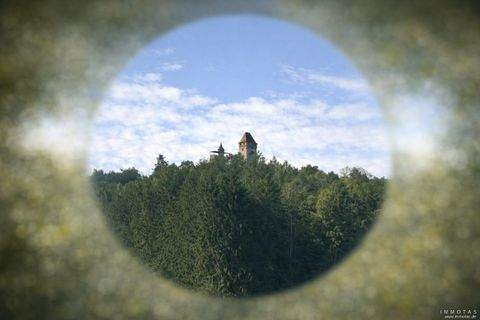 Erlenbach Häuser, Erlenbach Haus kaufen