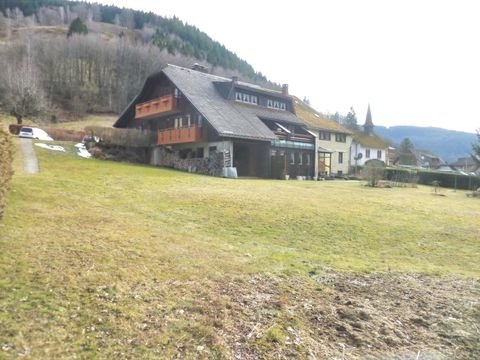 Todtnau Häuser, Todtnau Haus kaufen