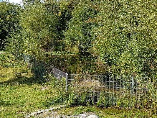 Außenanlage mit Teich