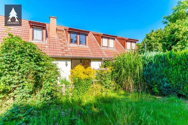 Blick zu den Terrassen