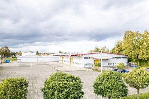 Greven Halle, Greven Hallenfläche