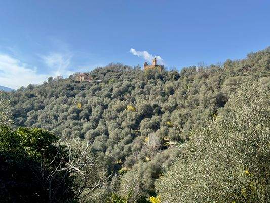 DA959_16 TERRA ITALIA IMMOBILIEN_LIGURIEN_STONE HO