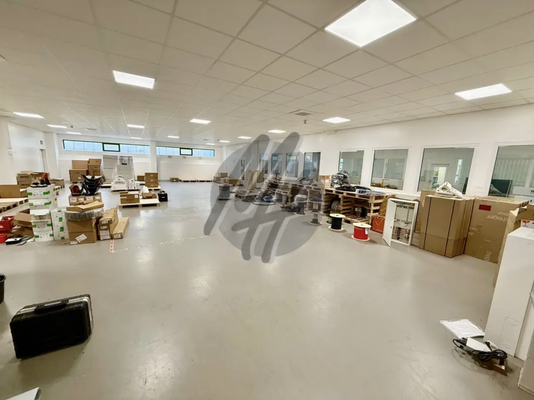 INFOS UNTER: 06171-586000