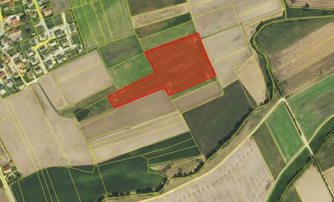 Vohburg an der Donau / Knodorf Bauernhöfe, Landwirtschaft, Vohburg an der Donau / Knodorf Forstwirtschaft