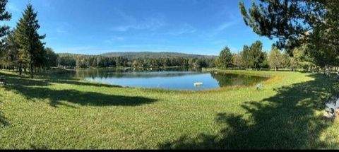 Bad Sauerbrunn Häuser, Bad Sauerbrunn Haus kaufen