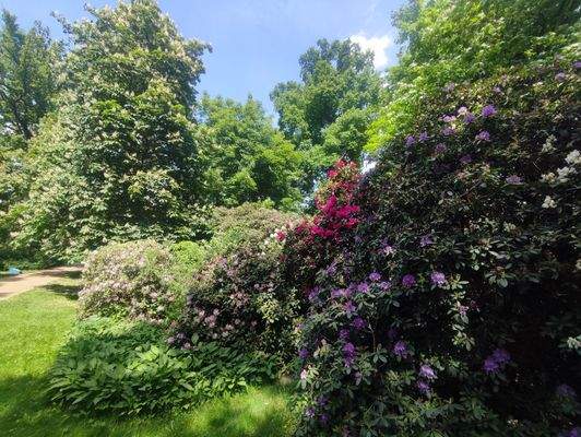 Verweilen im Schloßpark