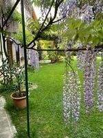 restaurierte Altbauvilla bei Aviano