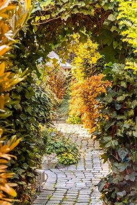 Verwunschener Gartenzugang