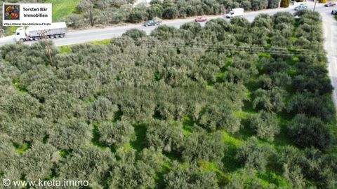 Kaparianna Bauernhöfe, Landwirtschaft, Kaparianna Forstwirtschaft