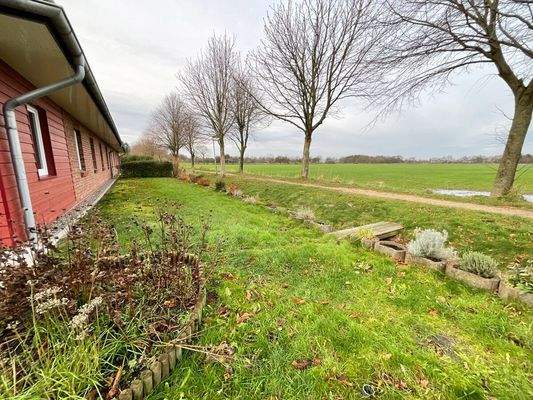 Blick aus dem hinterem Garten