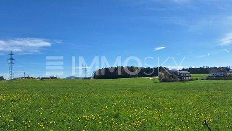 Seekirchen am Wallersee Grundstücke, Seekirchen am Wallersee Grundstück kaufen