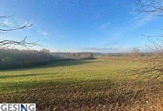 herrlicher Weitblick auf Felder