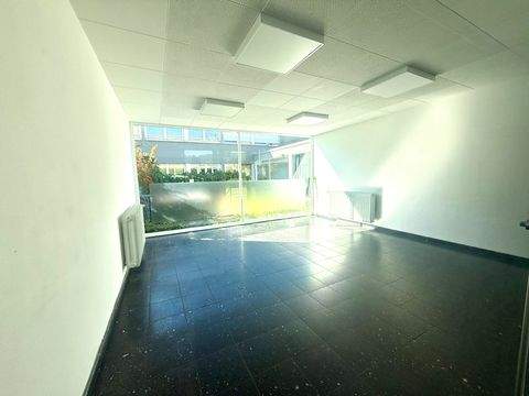 Trier Büros, Büroräume, Büroflächen 