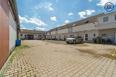 Haringsee Häuser, Haringsee Haus kaufen