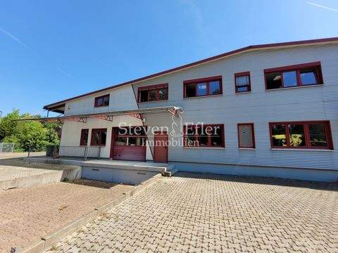 Neunkirchen am Sand Halle, Neunkirchen am Sand Hallenfläche