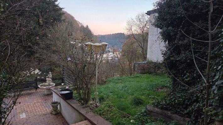 Grünfläche kleine Zwischenebene.jpg