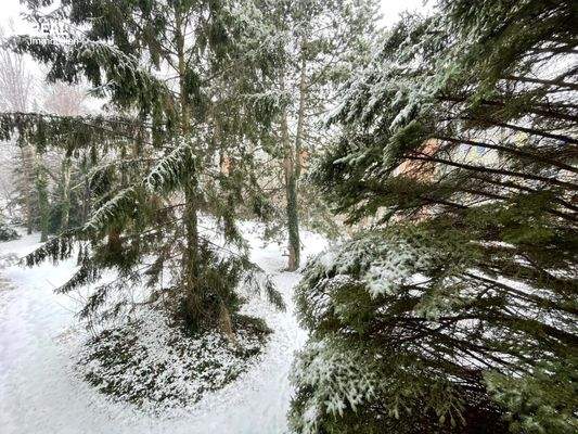 Grünblick Innenhof südwestseitig