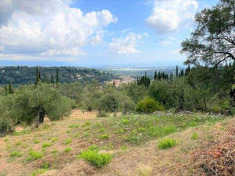 Korfu Bauernhöfe, Landwirtschaft, Korfu Forstwirtschaft