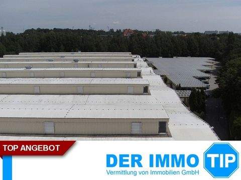 Bonn Halle, Bonn Hallenfläche