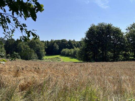 Ausblick von der Terrasse