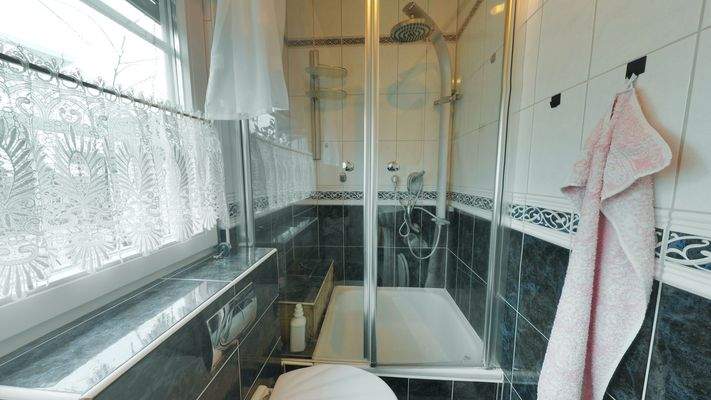 Gäste-WC mit Dusche EG