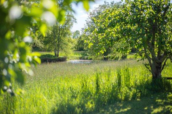 Kleiner Teich nebenan