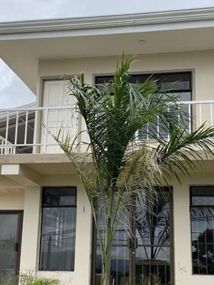 SL Haus