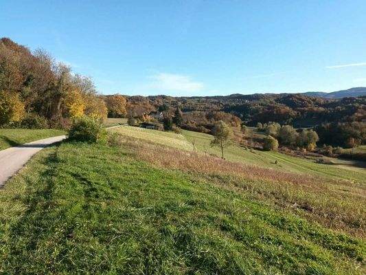 WhatsApp Image 2025-10-28 at 21.07.32