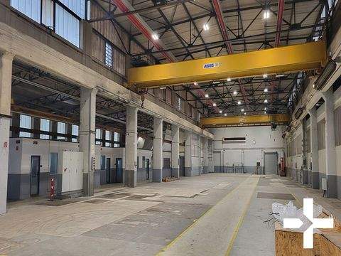 Krefeld Halle, Krefeld Hallenfläche