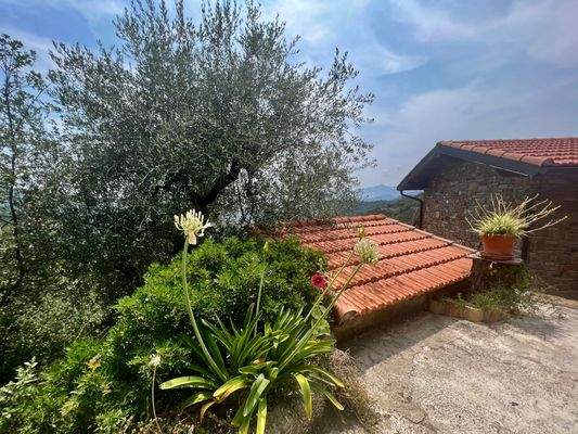 AP915_17 TERRA ITALIA IMMOBILIEN_LIGURIEN_APRICALE