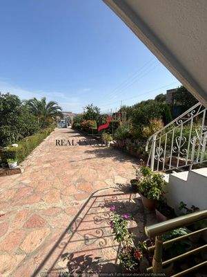 WhatsApp Image 2024-09-06 at 13.20.59 (58).jpeg