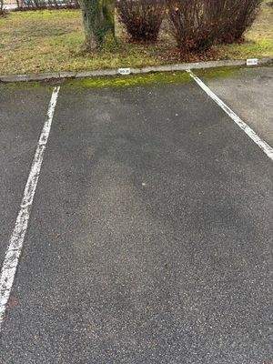 Image - 2025-12-29T115730.038.jpg