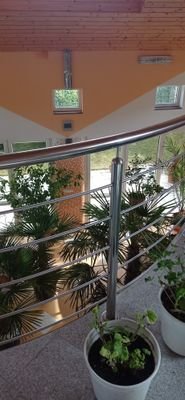 IMG_20220217_111716.jpg