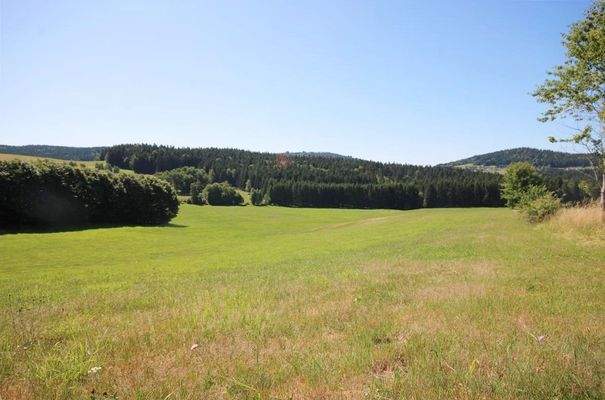 Blick auf das Grundstück