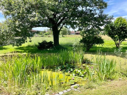 Blick von der Terrasse nach über den Teich