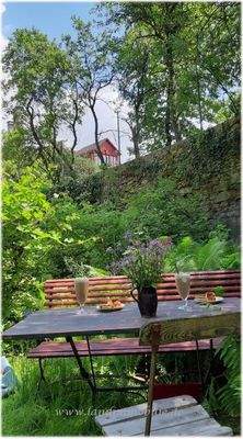 Blick vom Garten auf das Gebäude