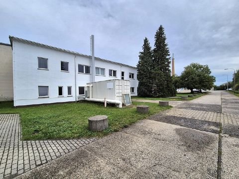 Ohorn Halle, Ohorn Hallenfläche