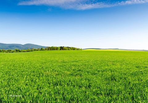 Weiding Bauernhöfe, Landwirtschaft, Weiding Forstwirtschaft