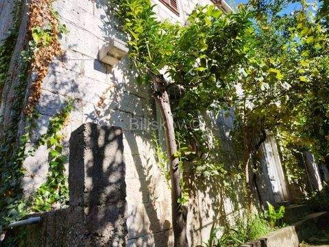 Orebic Häuser, Orebic Haus kaufen