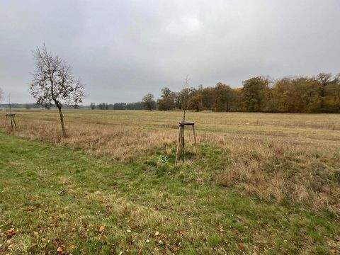 Kotzen Grundstücke, Kotzen Grundstück kaufen