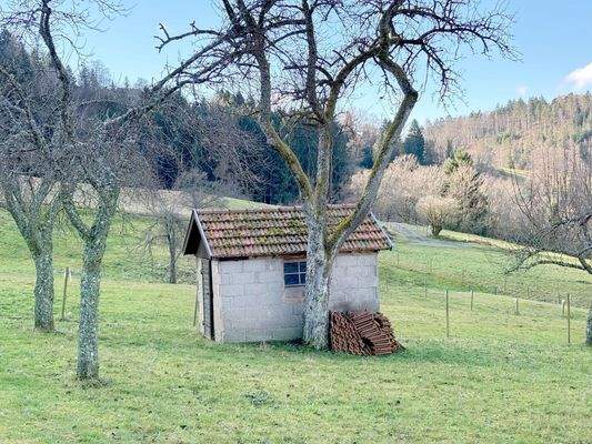 Ehemaliges Hühnerhaus