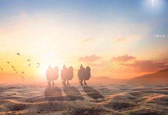 AdobeStock_240080646